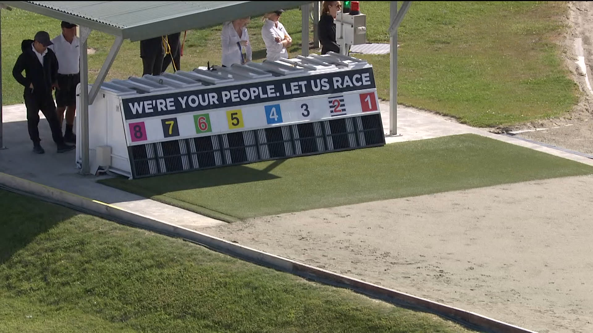 Addington Race 8: 23-03-2026