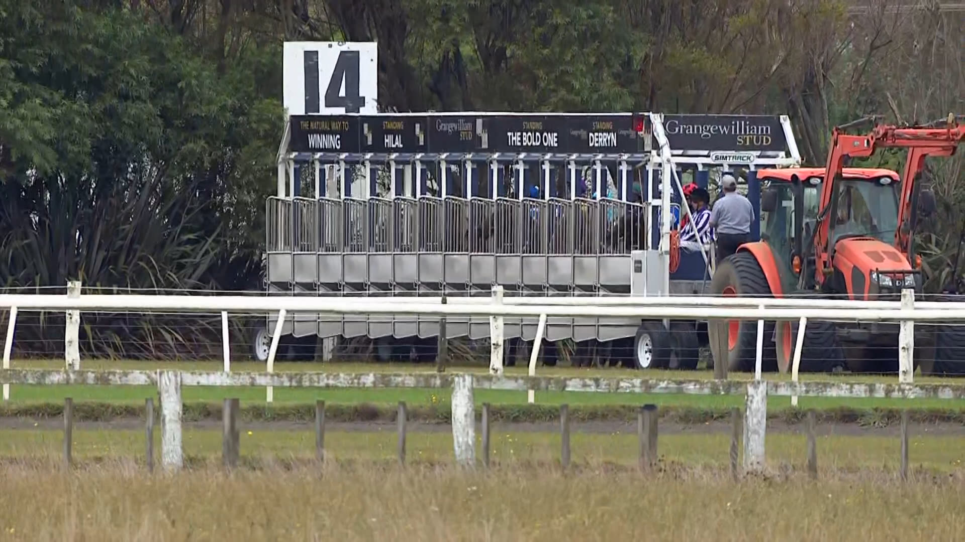 Hawera Race 4: 25-03-2026