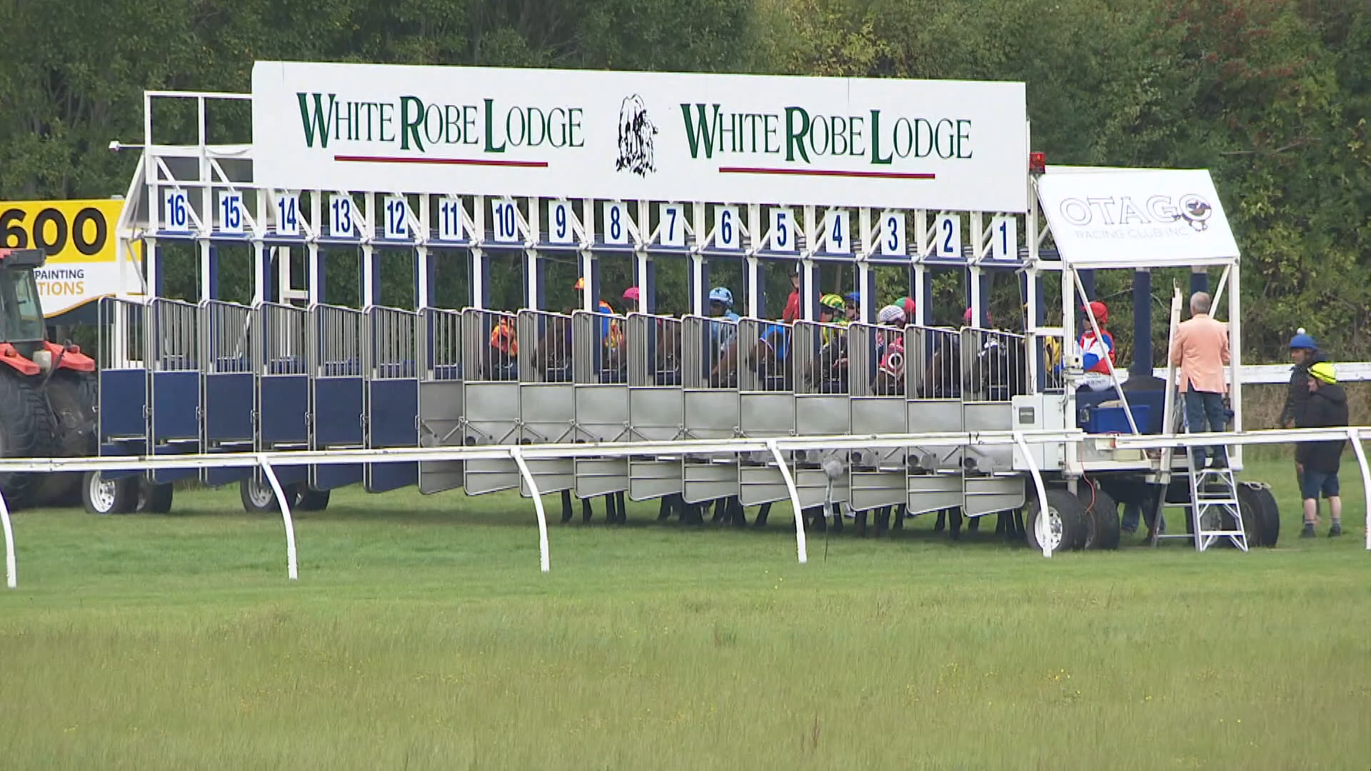 Wingatui Race 1: 15-03-2026