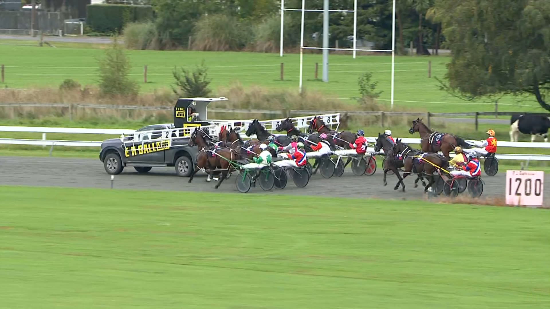 Wyndham Race 1: 29-03-2026