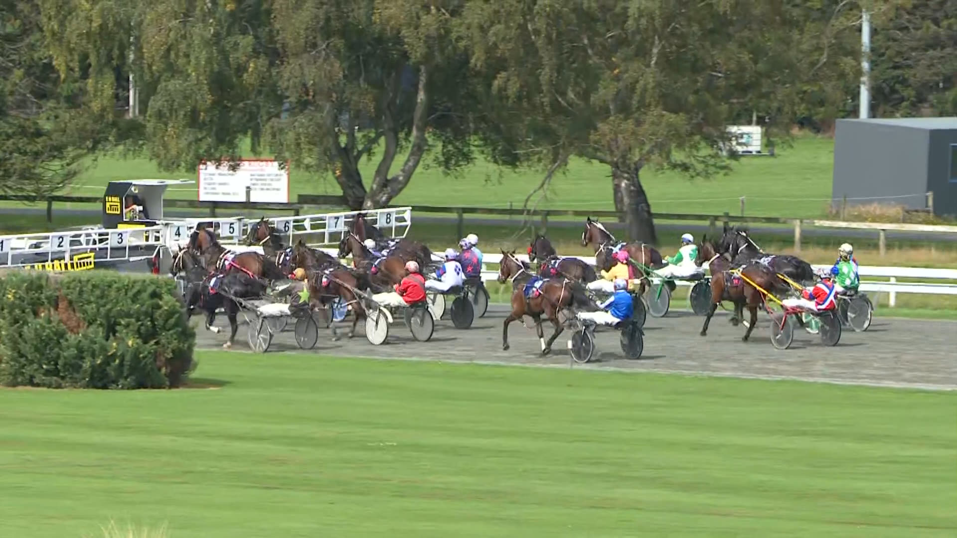 Wyndham Race 4: 29-03-2026