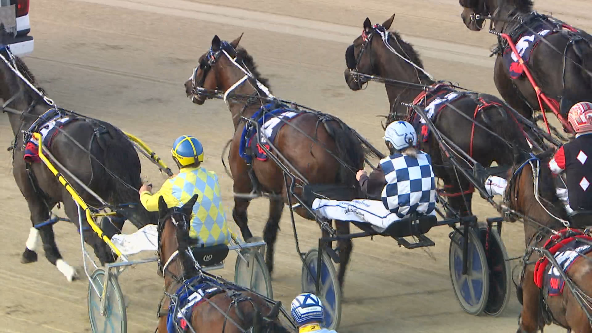 Addington Race 3: 20-03-2026