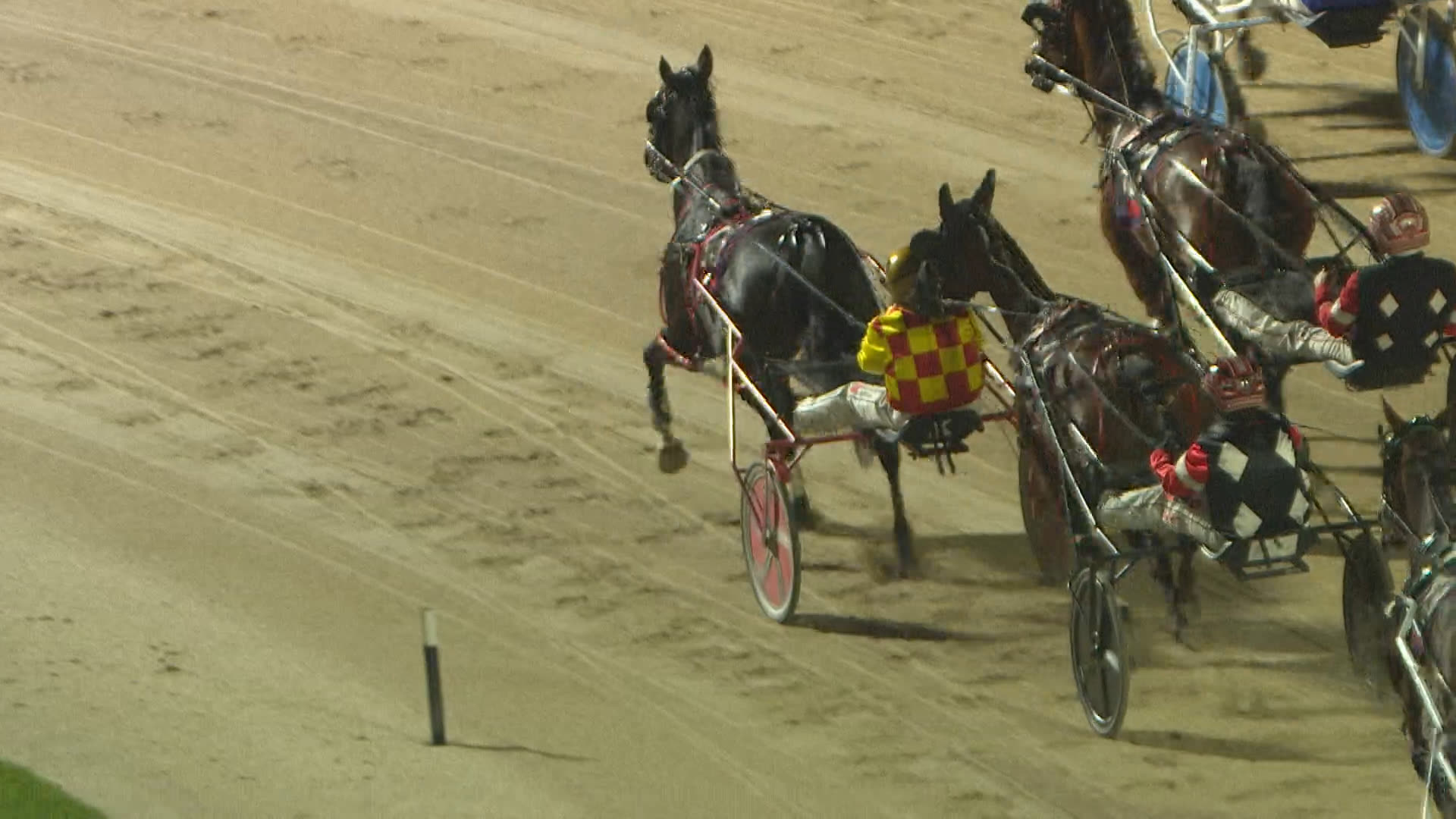 Addington Race 7: 20-03-2026