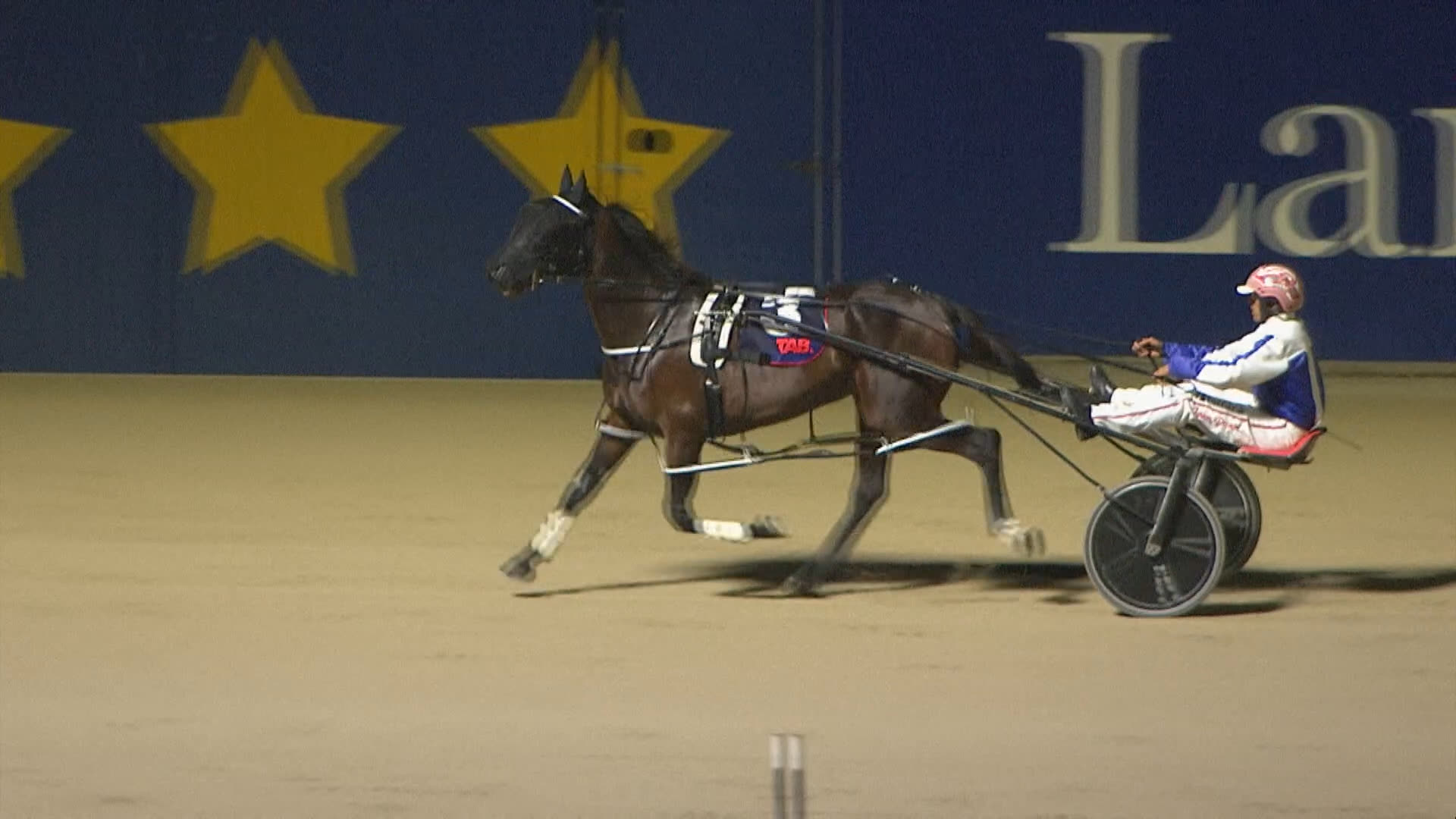 Addington Race 8: 27-03-2026
