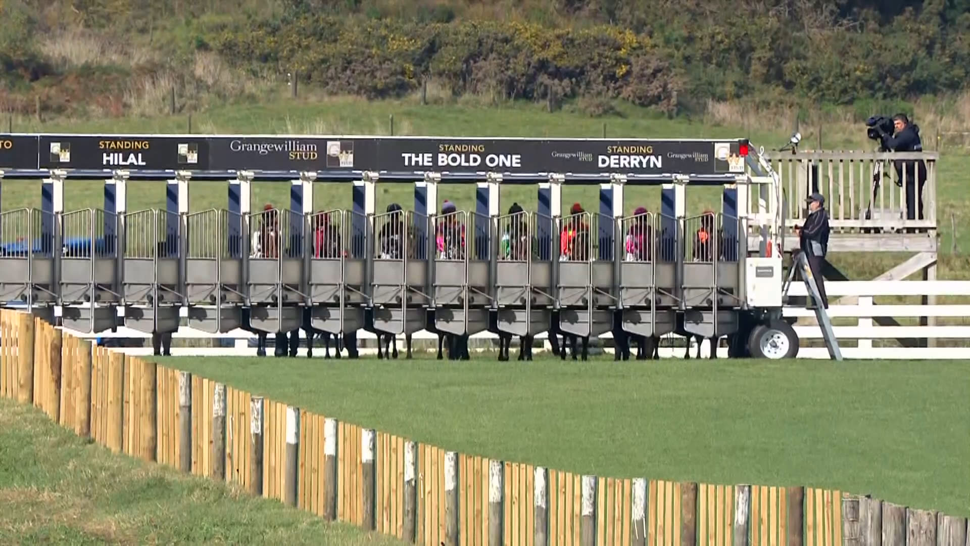 Waverley Race 3: 09-05-2026