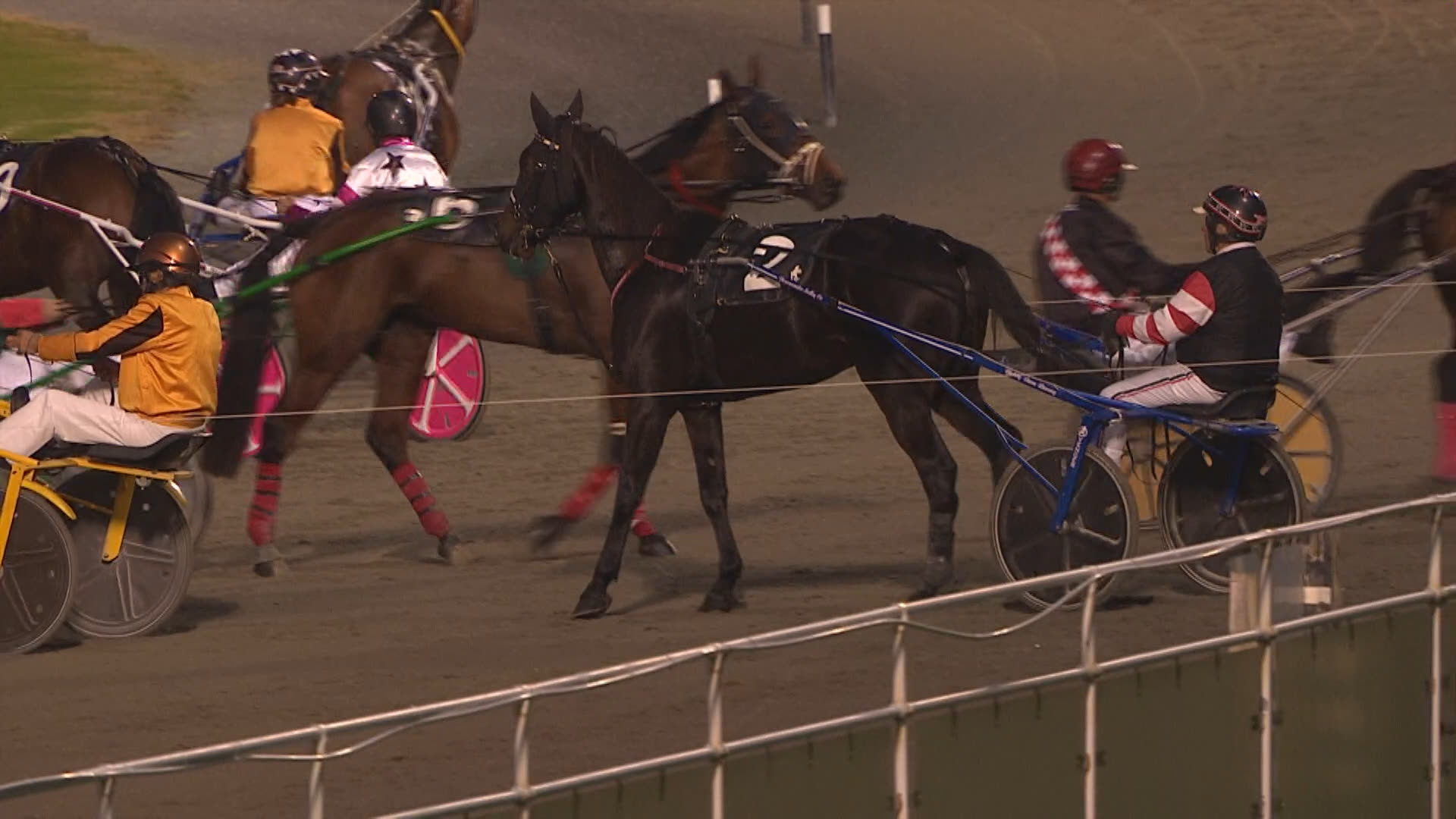 Pukekohe Race 3: 01-05-2026