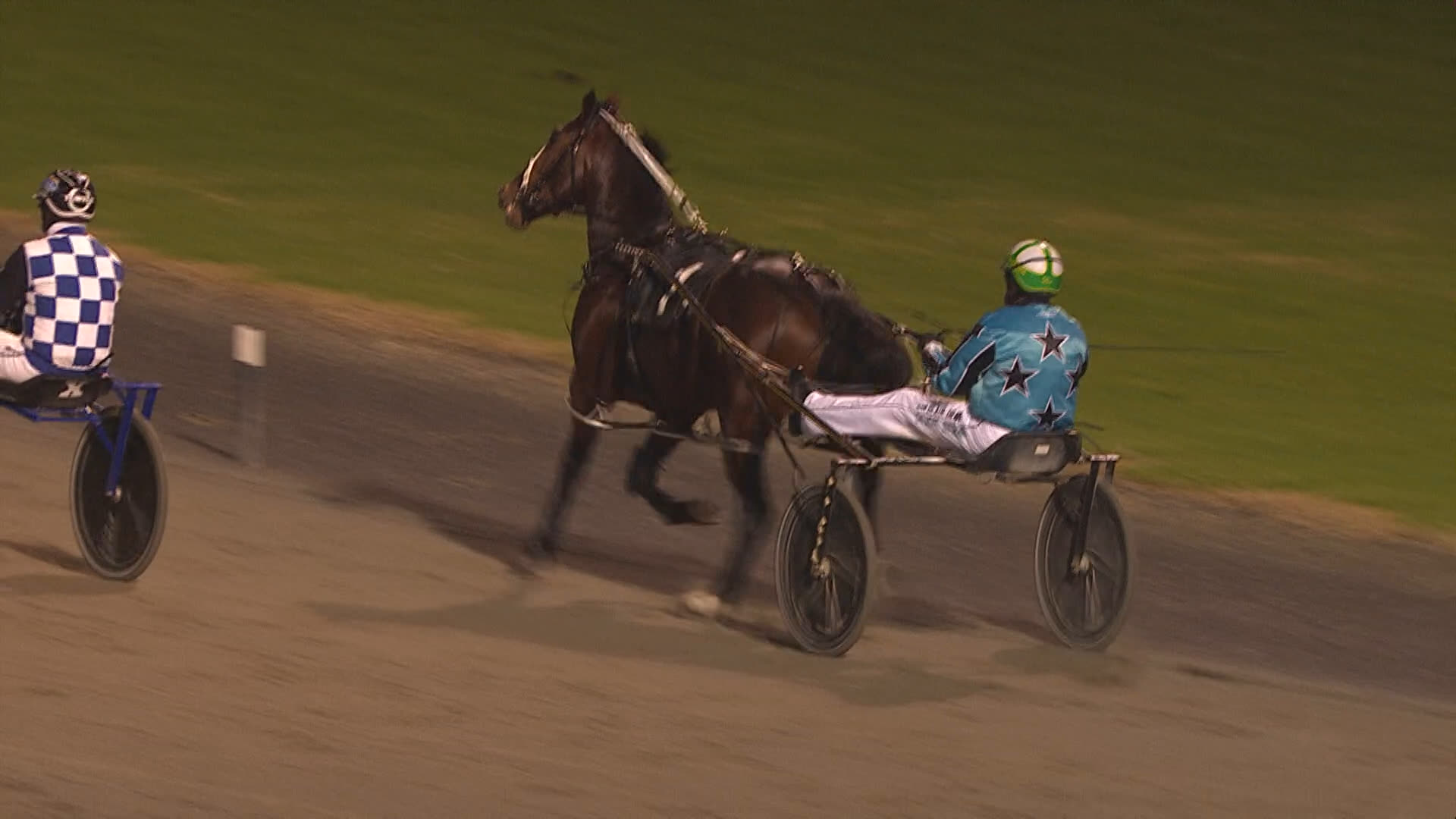 Pukekohe Race 8: 01-05-2026