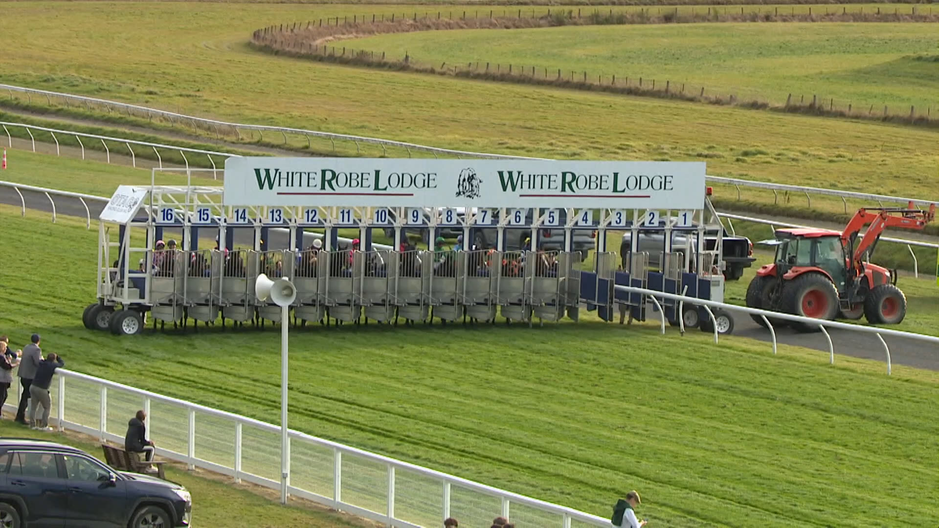 Wingatui Race 10: 31-05-2026