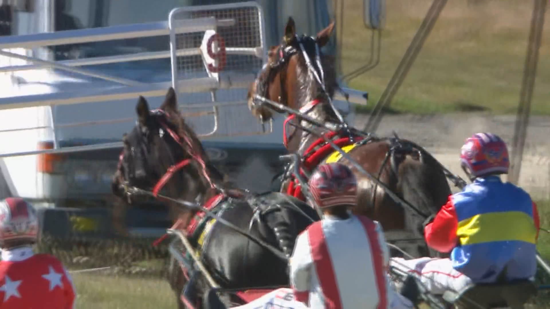 Rangiora Race 4: 03-05-2026