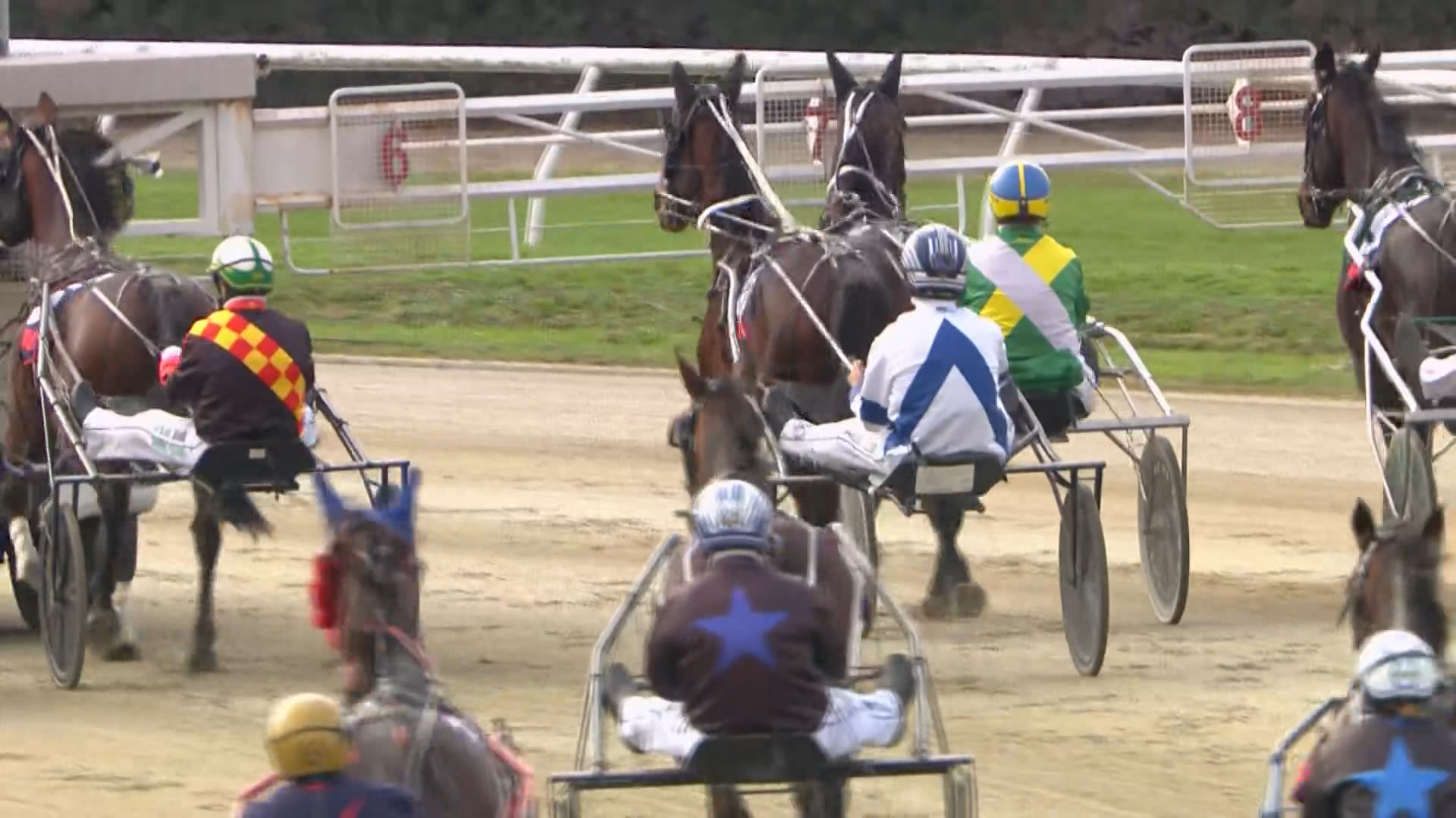 Timaru Race 2: 24-05-2026